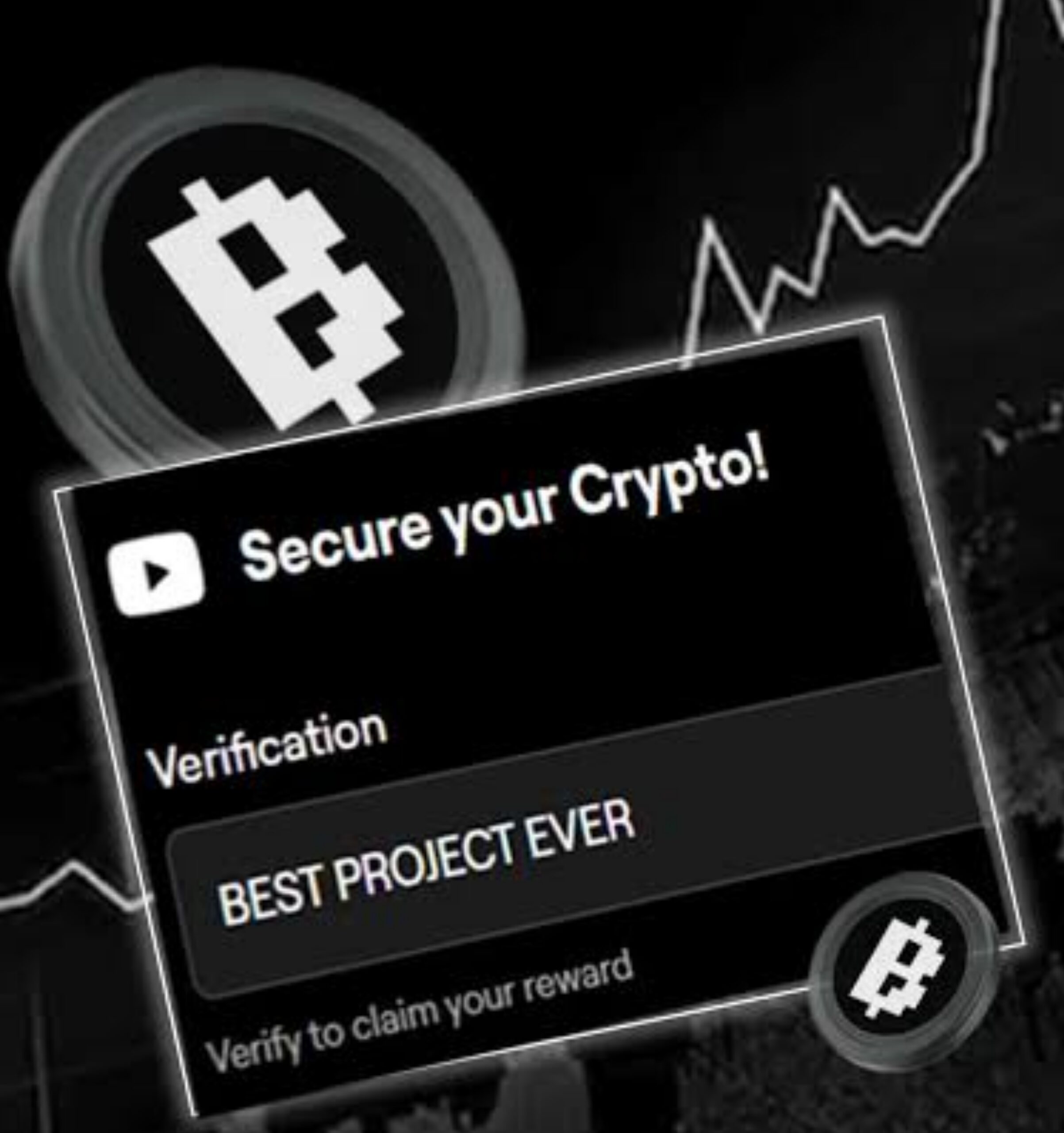 Crypto with Blum Verification Code