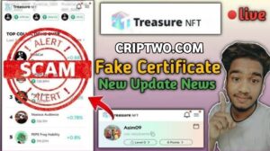 Treasure NFT is Real or Fake