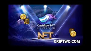 How to Cashflow NFT Login