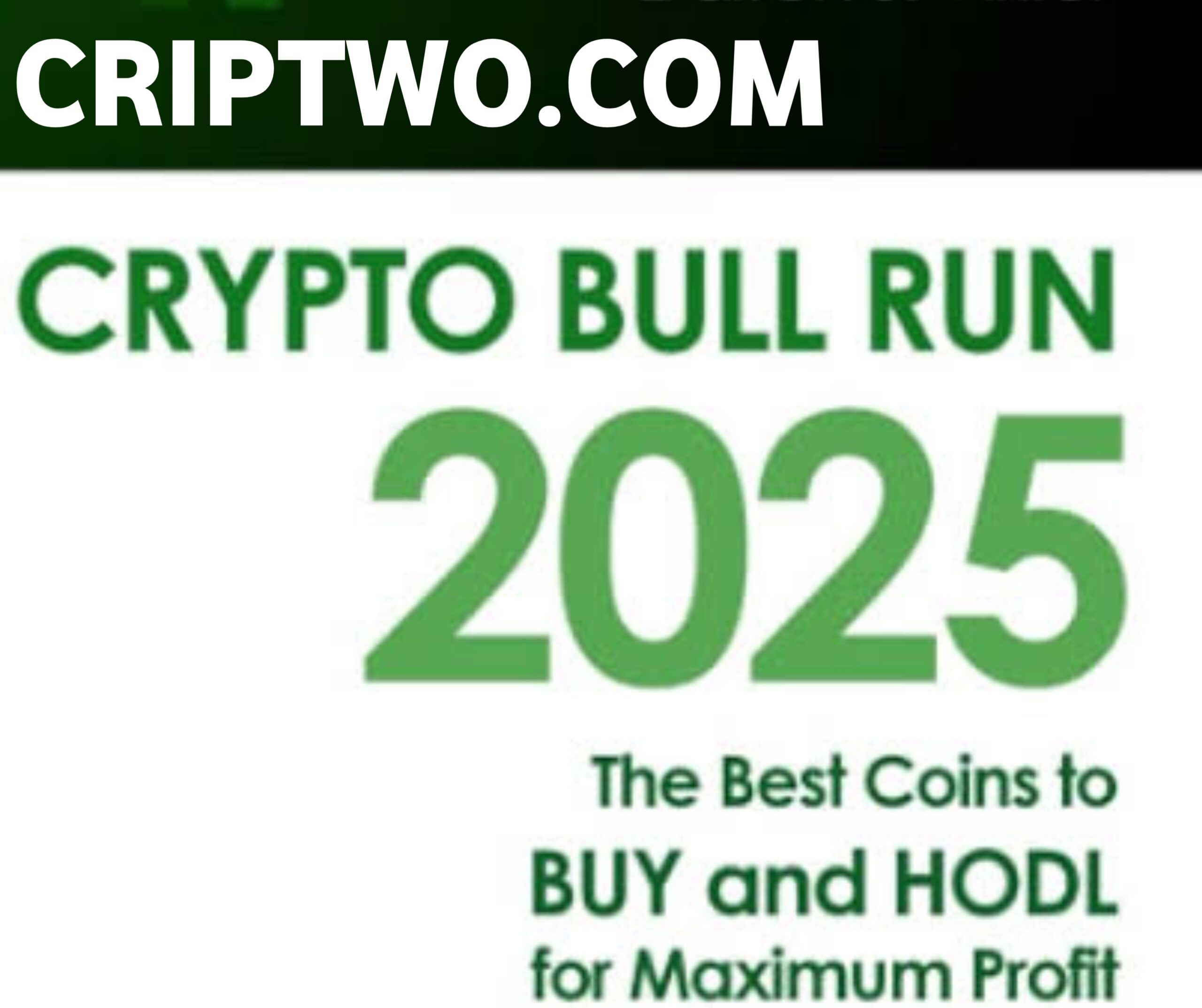 Bull Run in Crypto 2025