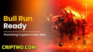 Bull Run in Crypto 2025