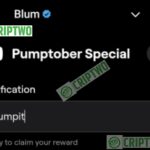 Crypto Slang. Part 2 Blum Video Code