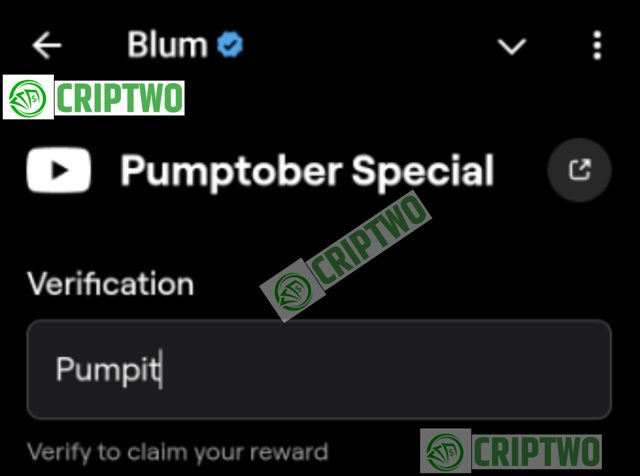 Crypto Slang. Part 2 Blum Video Code