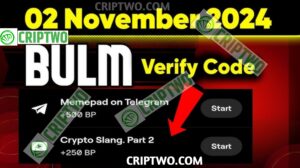 Crypto Slang. Part 2 Blum Video Code