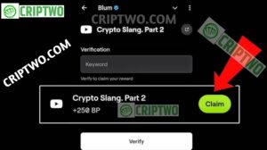 Crypto Slang. Part 2 Blum Video Code