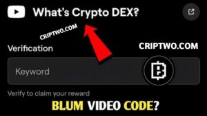 Crypto DEX?