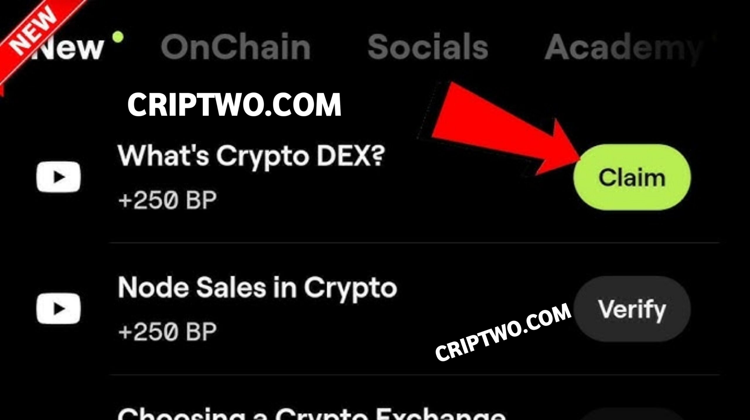 Crypto DEX?