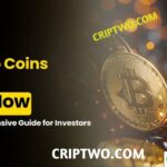 Best Crypto to Buy Now in November 2024