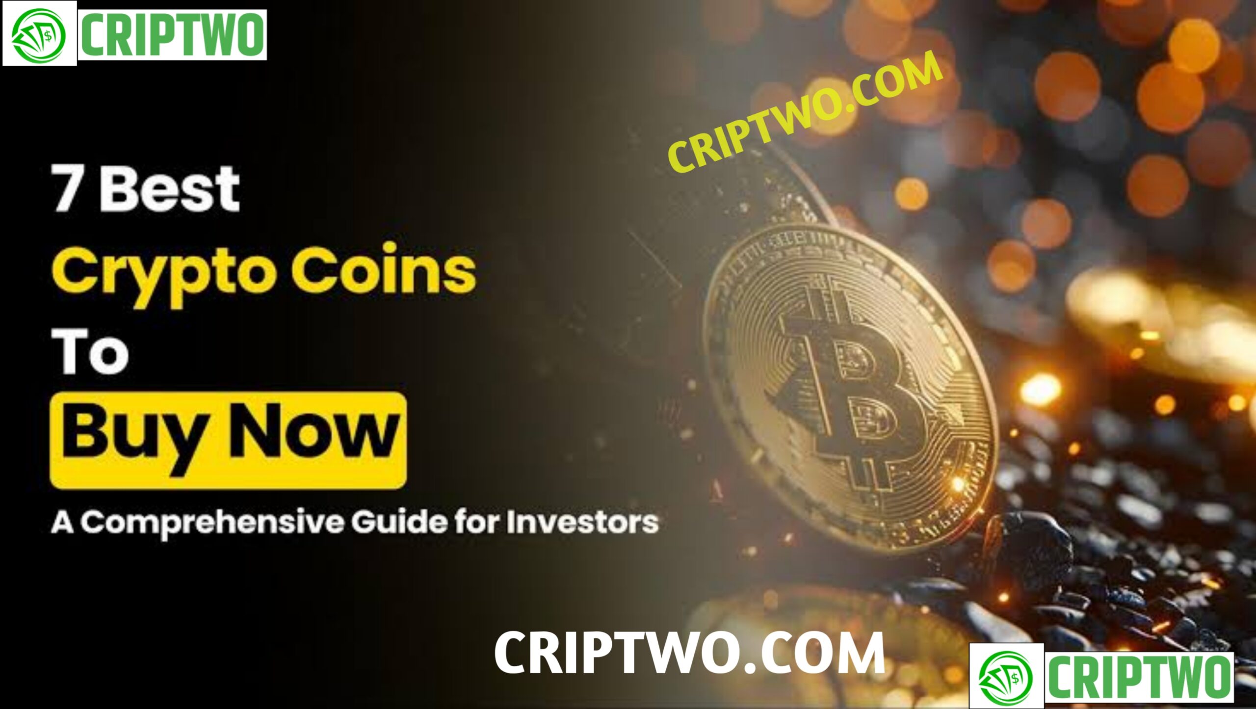 Best Crypto to Buy Now in November 2024