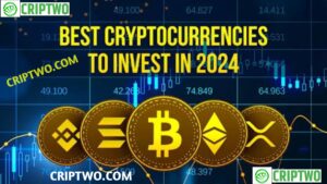 Best Crypto to Buy Now in November 2024