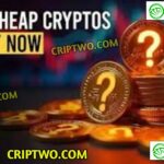 Crypto Coins to Buy Now