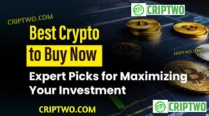 Crypto Coins to Buy Now